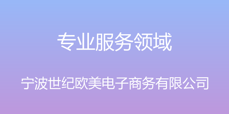 专业服务领域 - 宁波世纪欧美电子商务有限公司